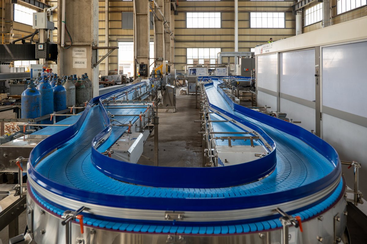 Conveyor system in a beverage plant
